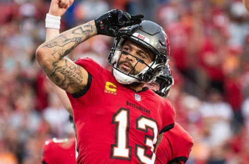 Mike Evans Biography